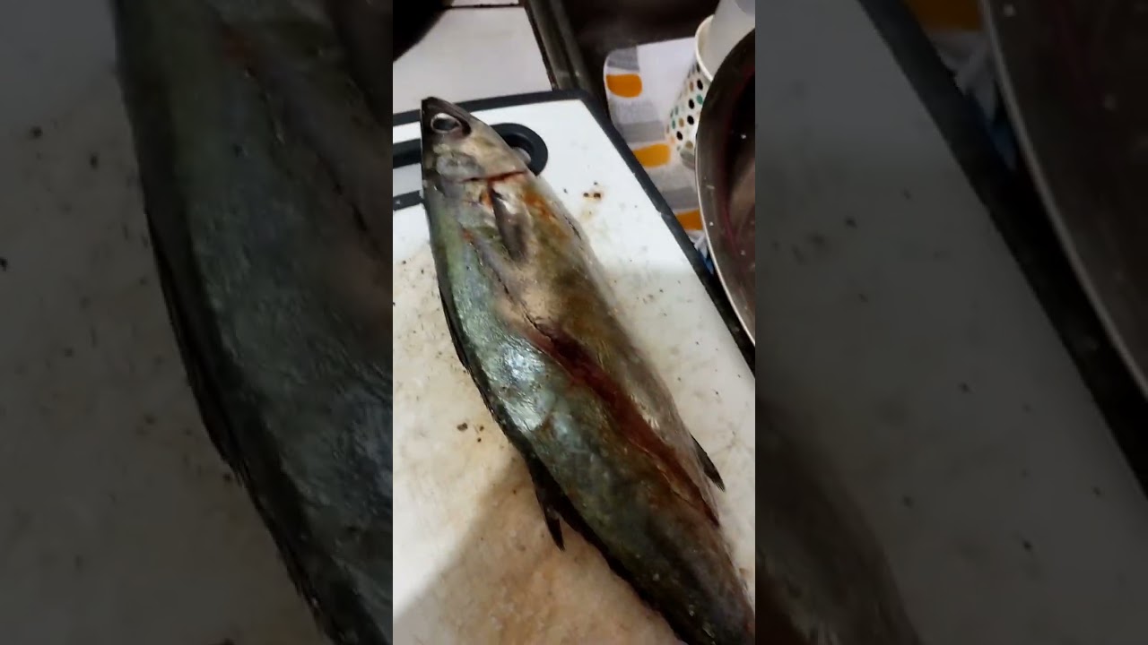 grilled double line mackerel