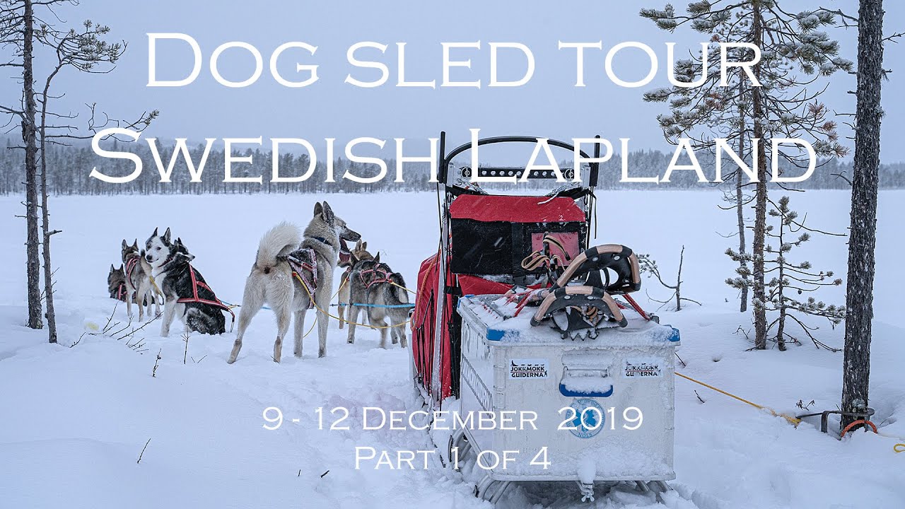 Four days dog sled tour in Jokkmokk Sweden Lapland || Part 1 of 4