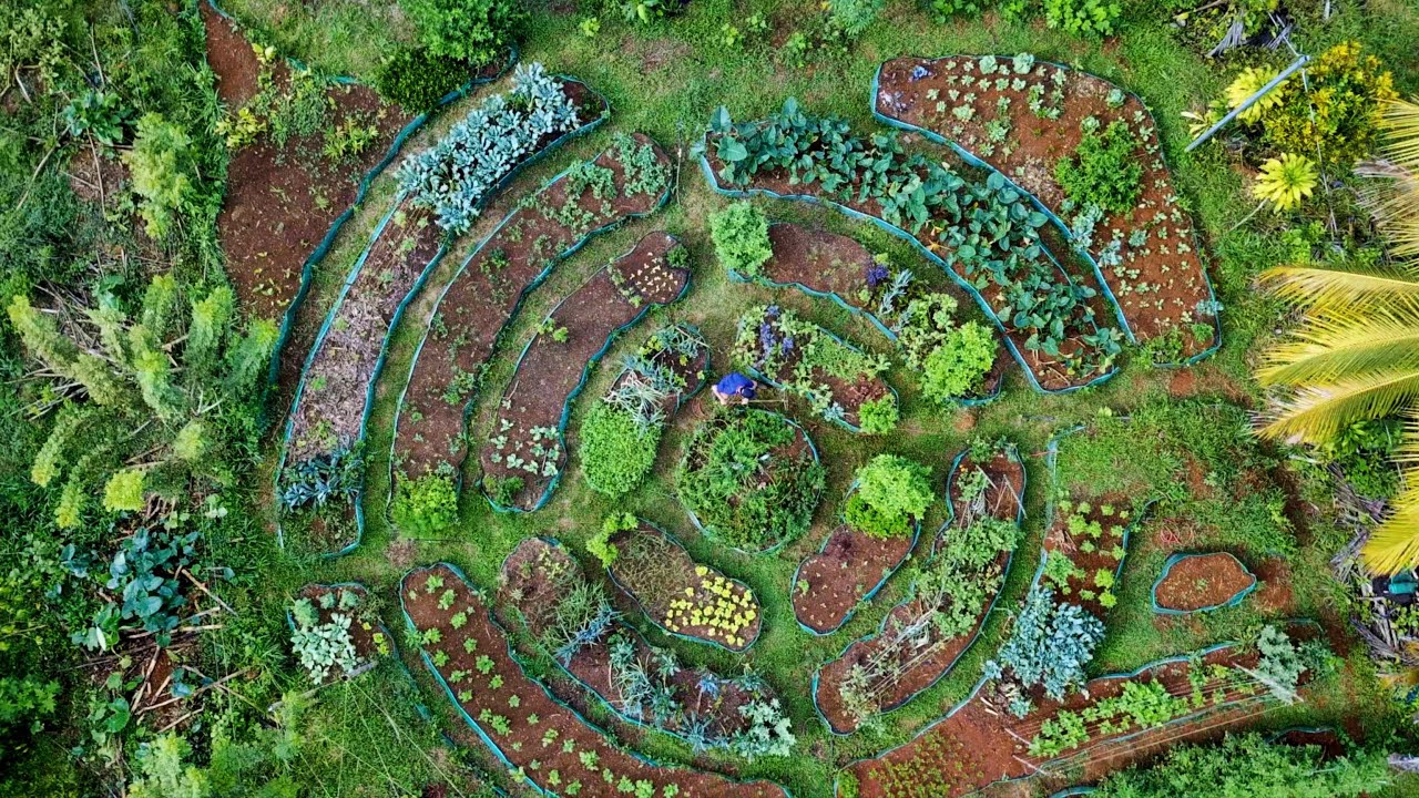 Mandala Market Garden: выращивание овощей и фруктов круглый год!