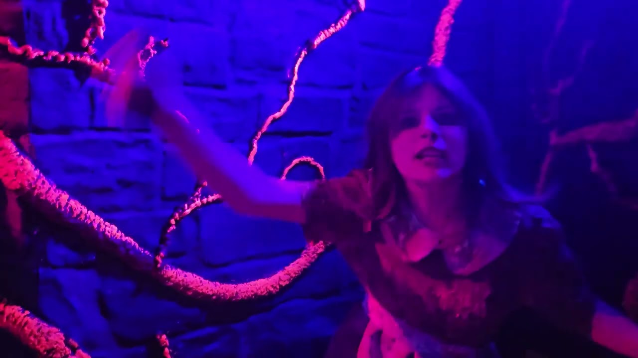 Shadows of Wonderland Howl O Scream 2024 Official POV