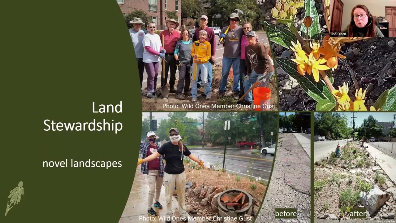 Lisa Olsen with Wild Ones: Cultivating a Community of Support for Native Plants