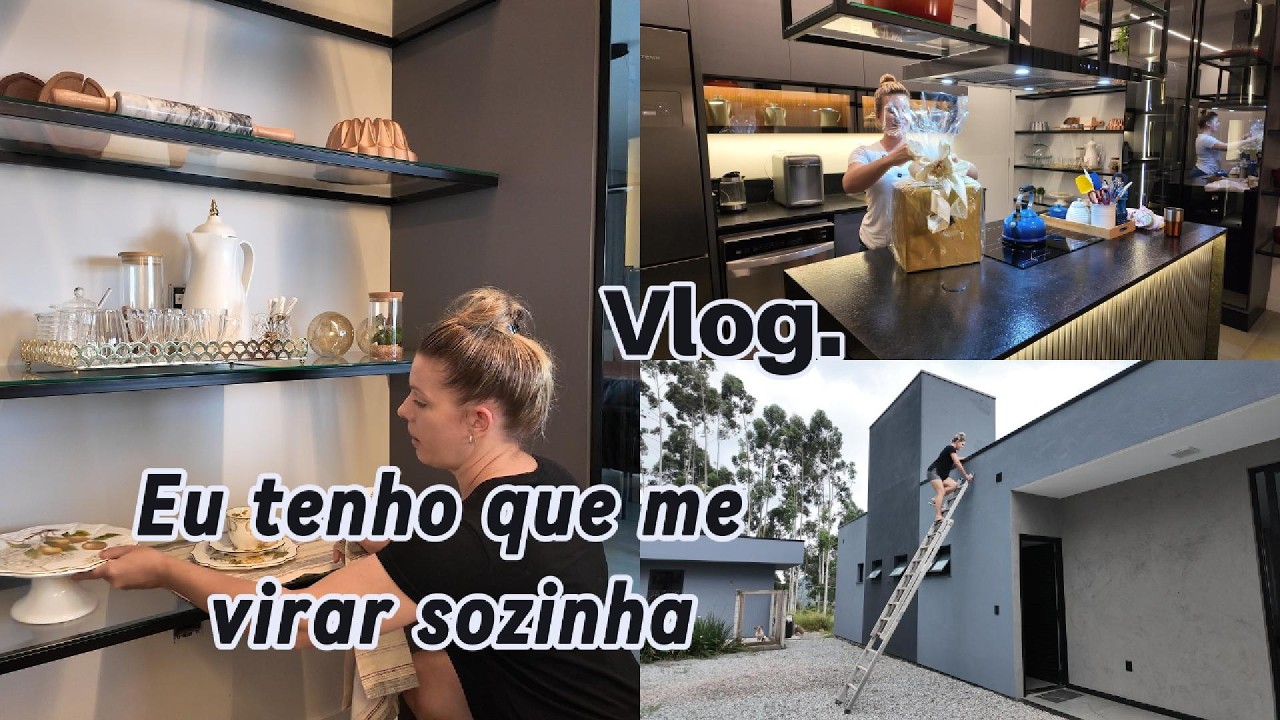 Esses bichos estão por toda a casa. Ganhei presente. Vlog aqui no mato.