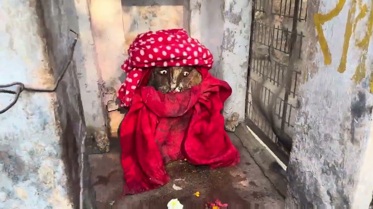🦚आज सोमवार के दिन श्री राधा रानी जी बड़ी परिक्रमा दर्शन 