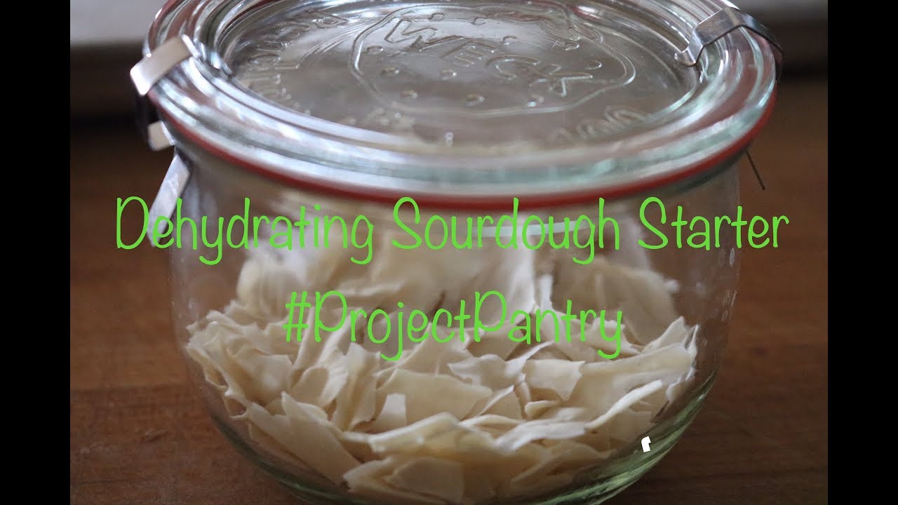 Dehydrating Sourdough Starter - #ProjectPantry!
