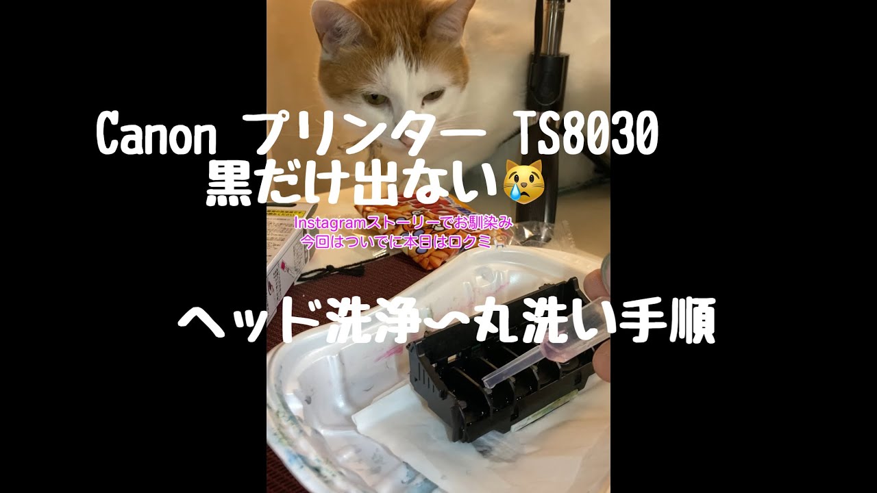 Canon プリンター TS8030 黒だけ出ない😿ヘッド洗浄〜丸洗い手順