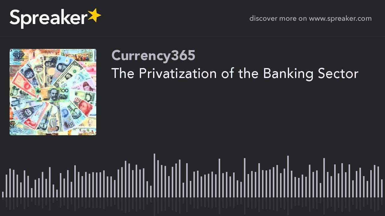 The Privatization of the Banking Sector
