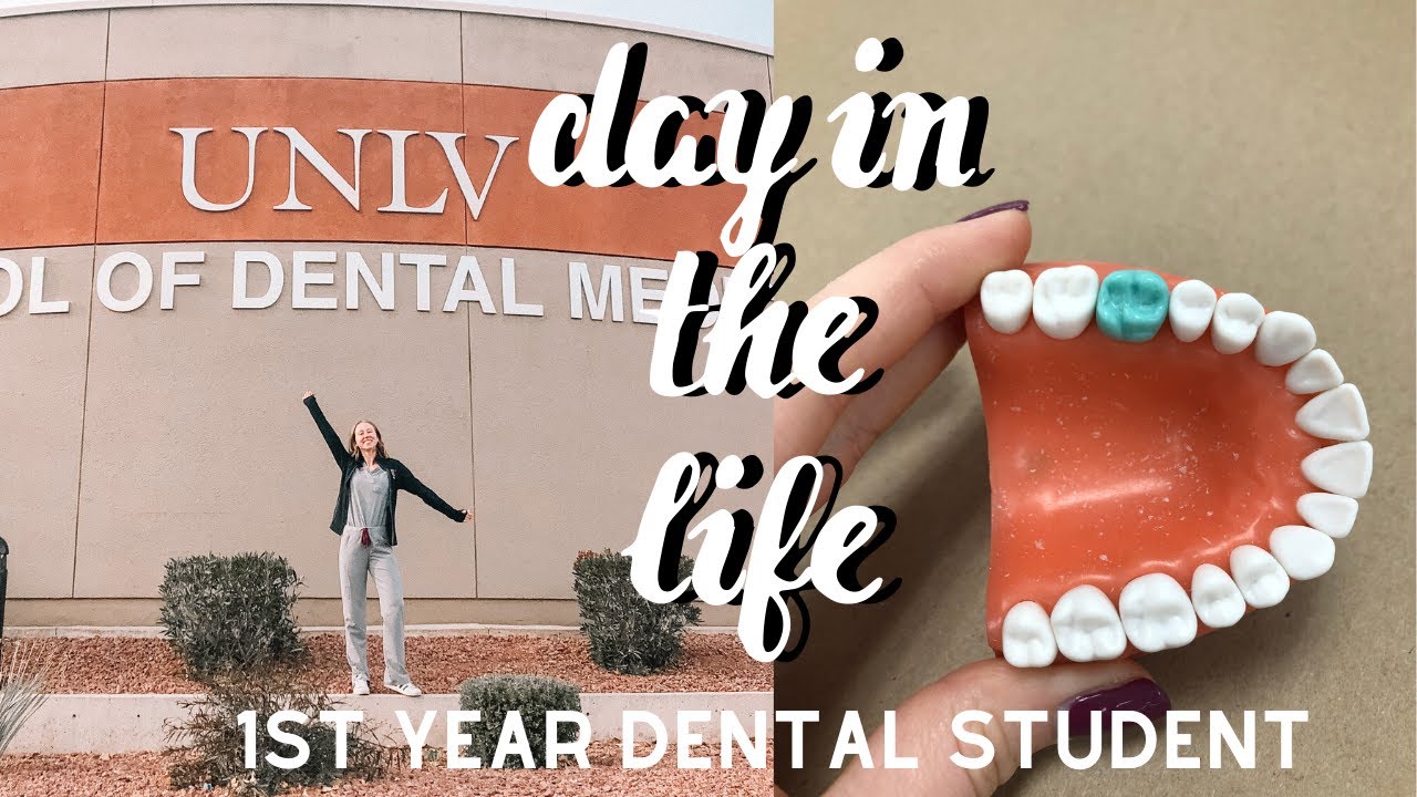Day in the Life of a 1st Year Dental Student | Waxing and loupes!