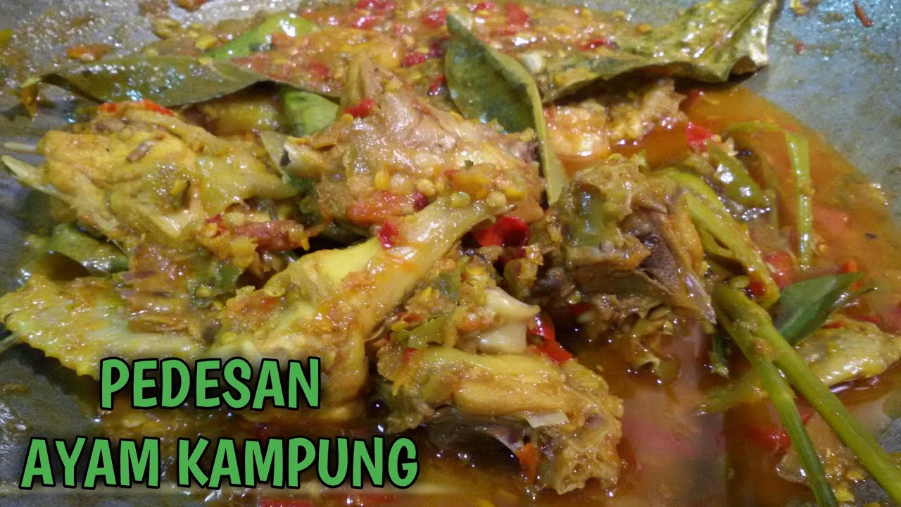 Pedesan Ayam Kampung