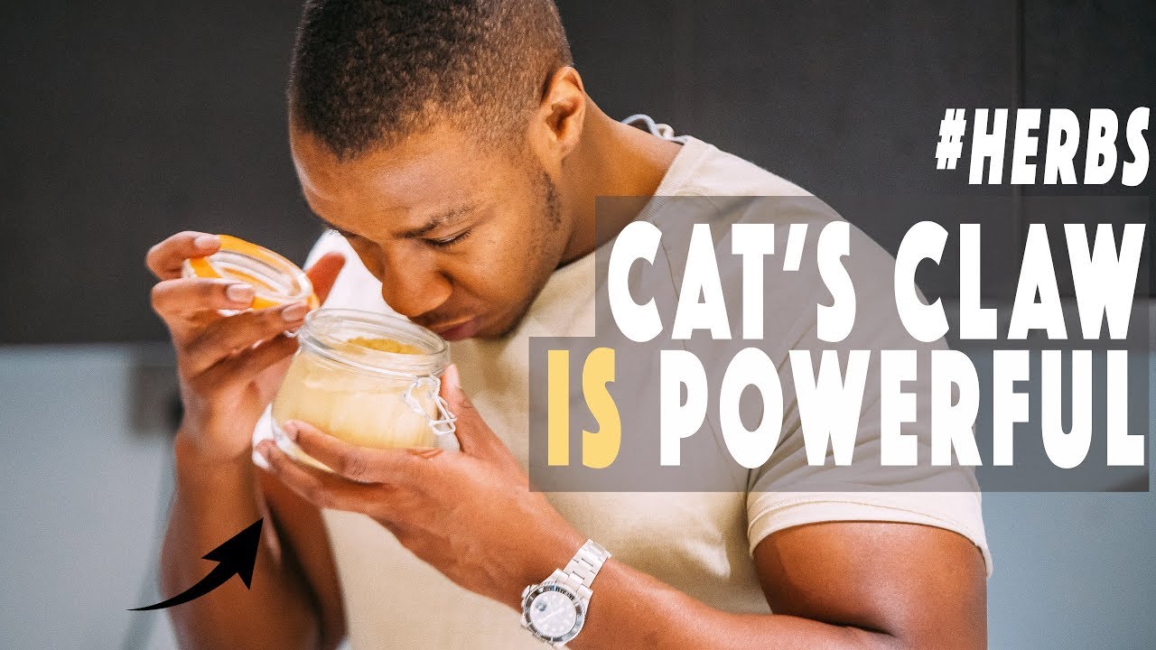 4 BENEFITS OF CAT'S CLAW | Powerful Herb!