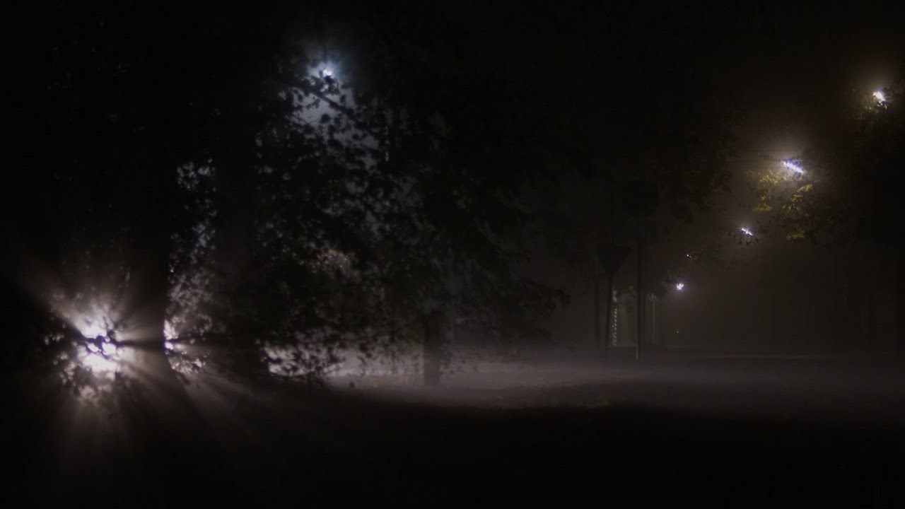 Filmen bei Nacht - lowlight shootout mit der BMPCC 6k Pro