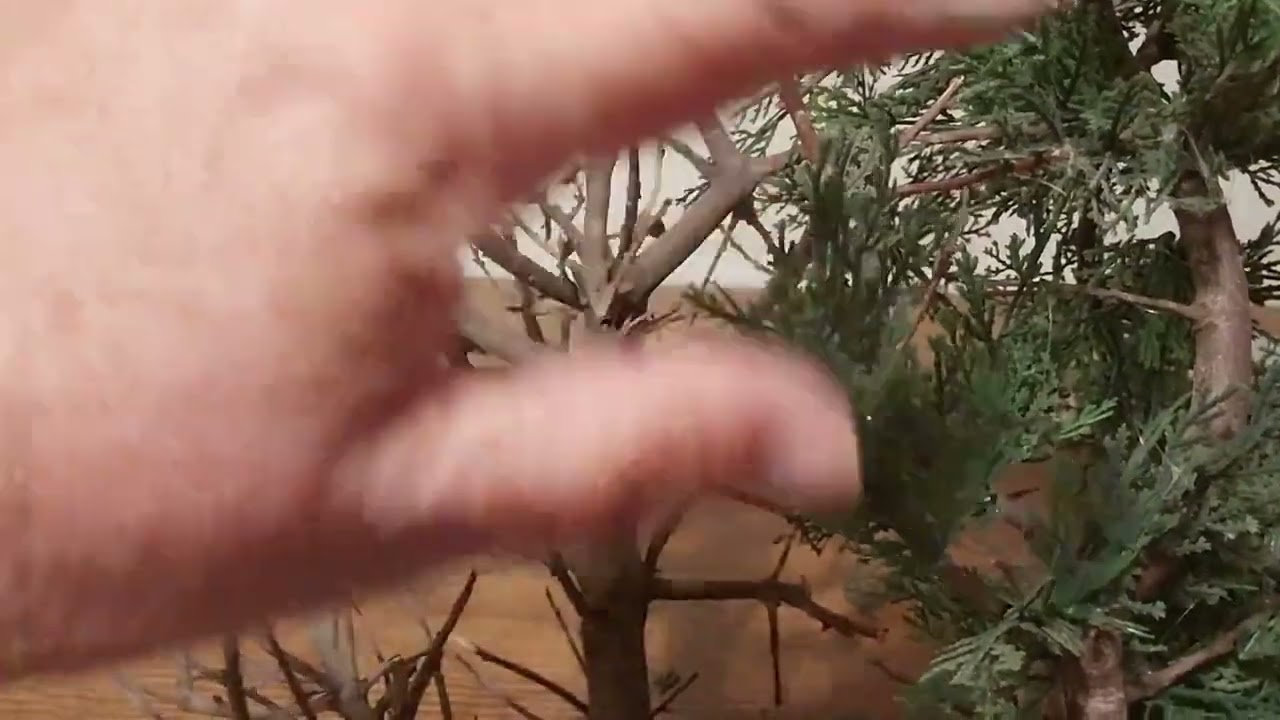 COMO HACER UN ÁRBOL