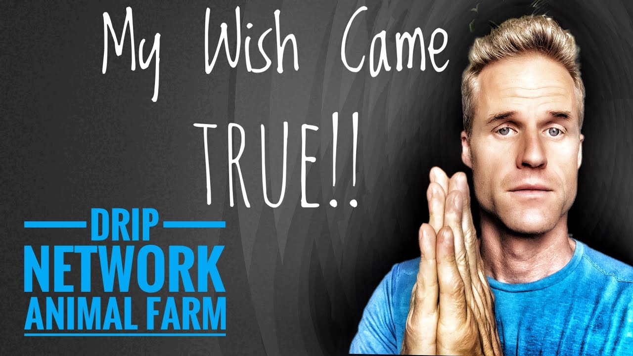 💧DRIP NETWORK | Now We Know THIS....!?💧 (Driptopian / Forex Shark)