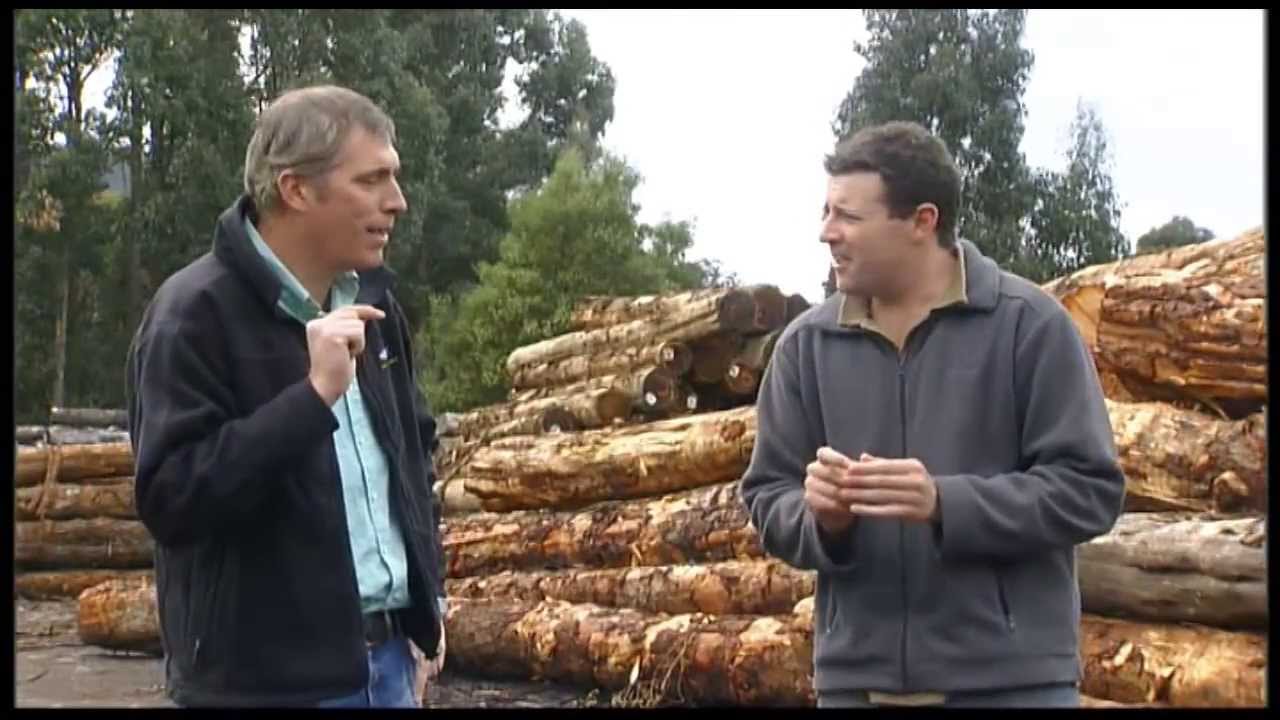 Going Bush 1 - Specialty Timbers