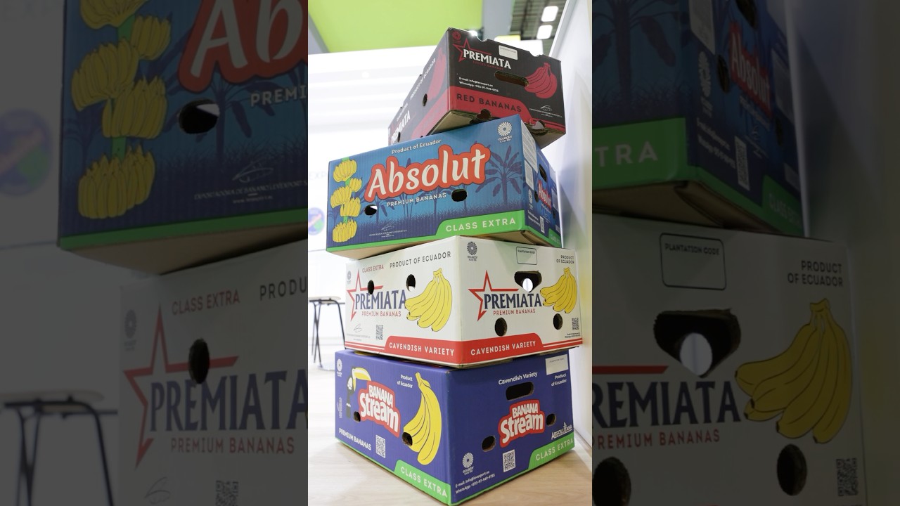 Levexport in Madrid distributor #Ecuador #bananas  #banana