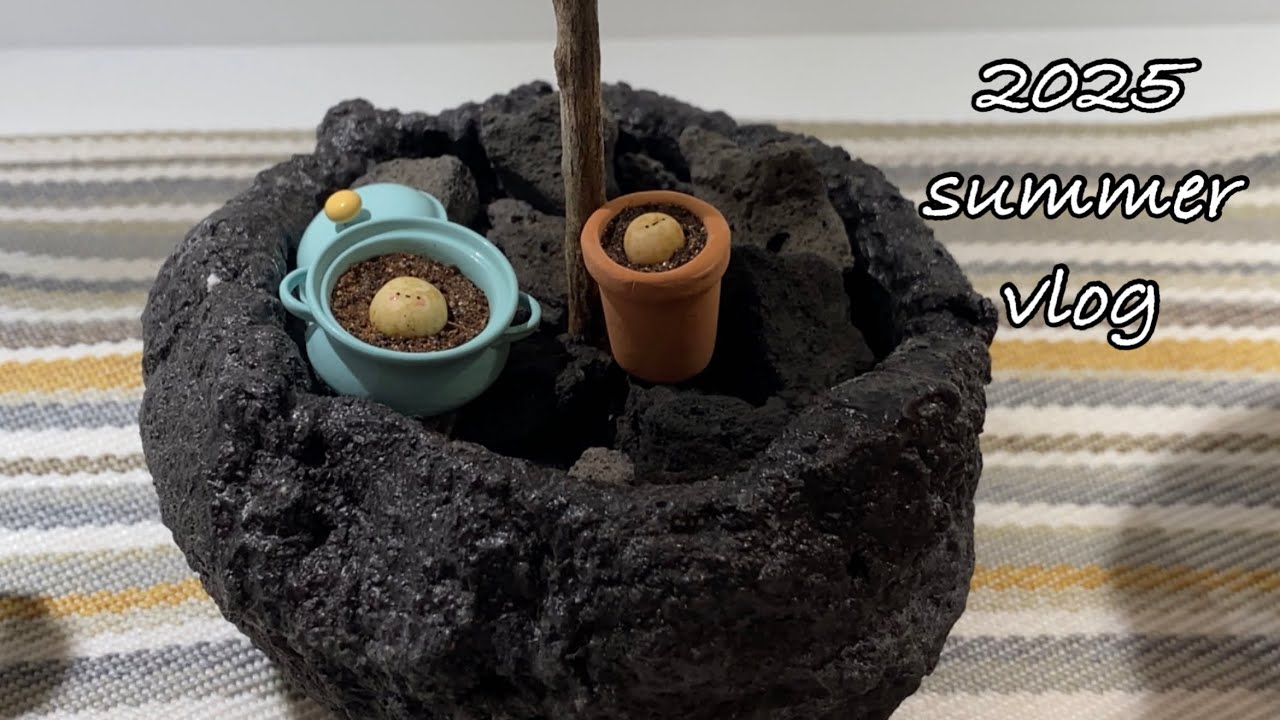 VLOG ㅣ 2025 여름휴가 ㅣ 강원도 여행 ㅣ 완도회식당 ㅣ 이화루 ㅣ 신남해수욕장 ㅣ 바다가코앞에펜션 ㅣ 썬크루즈호텔 ㅣ 고성원인숙생선찜 ㅣ 