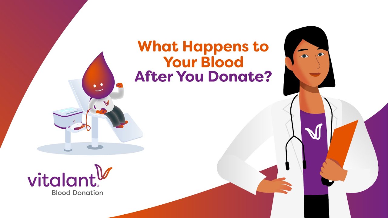 What Happens to Your Blood After You Donate?