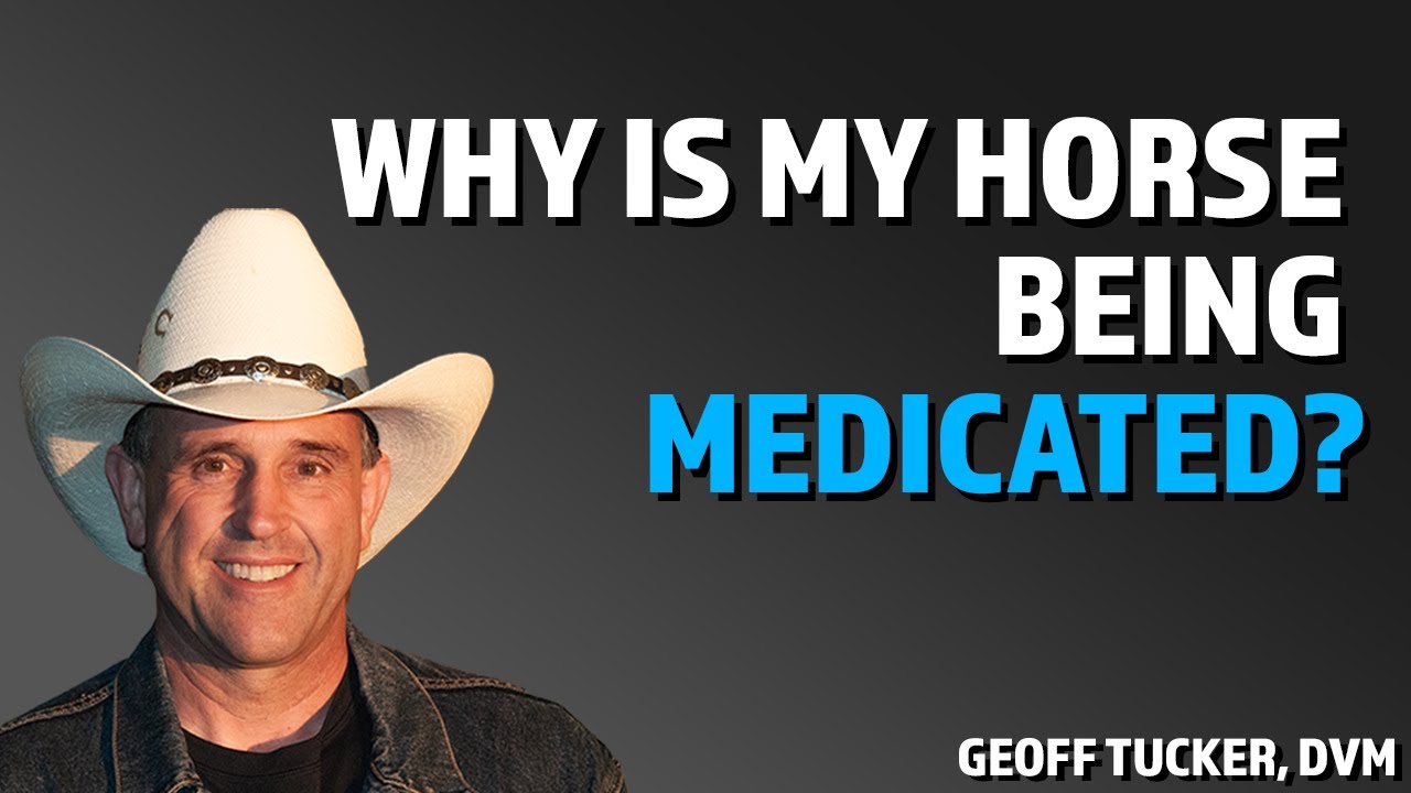 When should medications be used in Equine Dentistry?