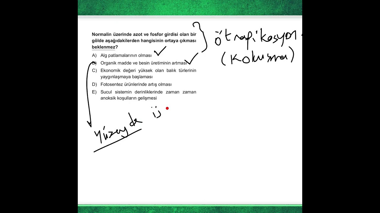 YKS Tahminleri