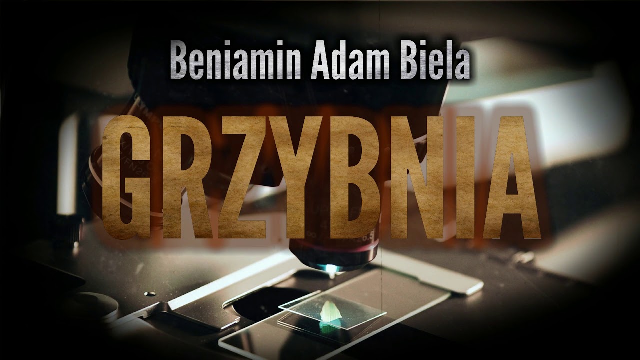 Grzybnia - CreepyPasta [PL]
