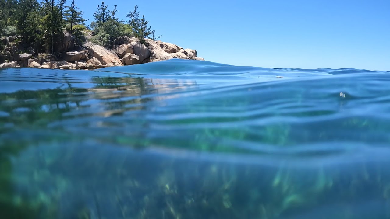 HOW GOOD IS THIS!!! Fishing and Exploring | FISH for Lunch!