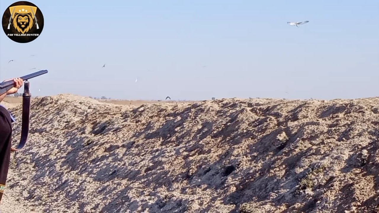 Birds Hunting in Pakistan / Hunting season 2023 /Pak Village Hunter