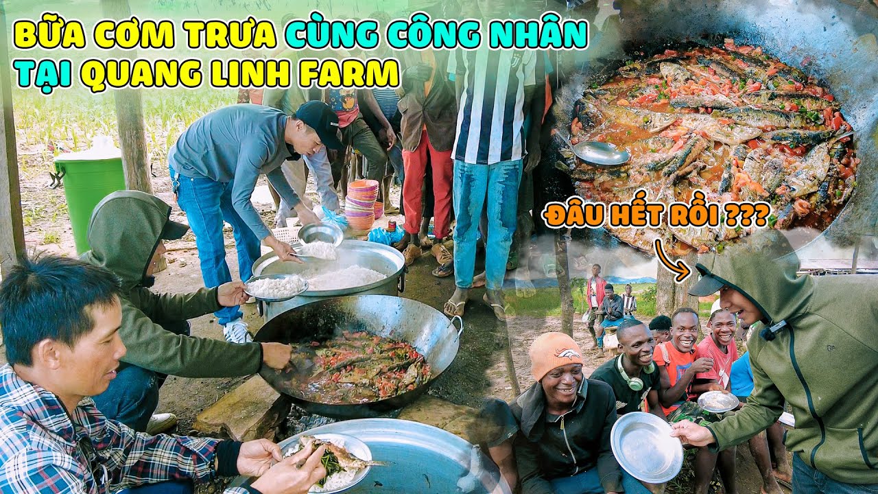 Quanglinhvlogs || Bữa Cơm Trưa Cùng Anh Em Công Nhân Tại Quang Linh Farm