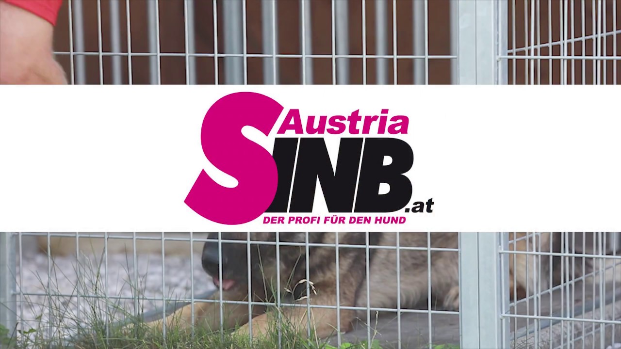 SinbAustria - Beste Hundehütten & Hundezwinger für Österreich und Deutschland