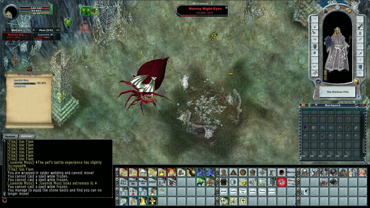 Ultima Online, Atlantic: Navrey Night-Eyes - SDI Mage/Disco/Tamer