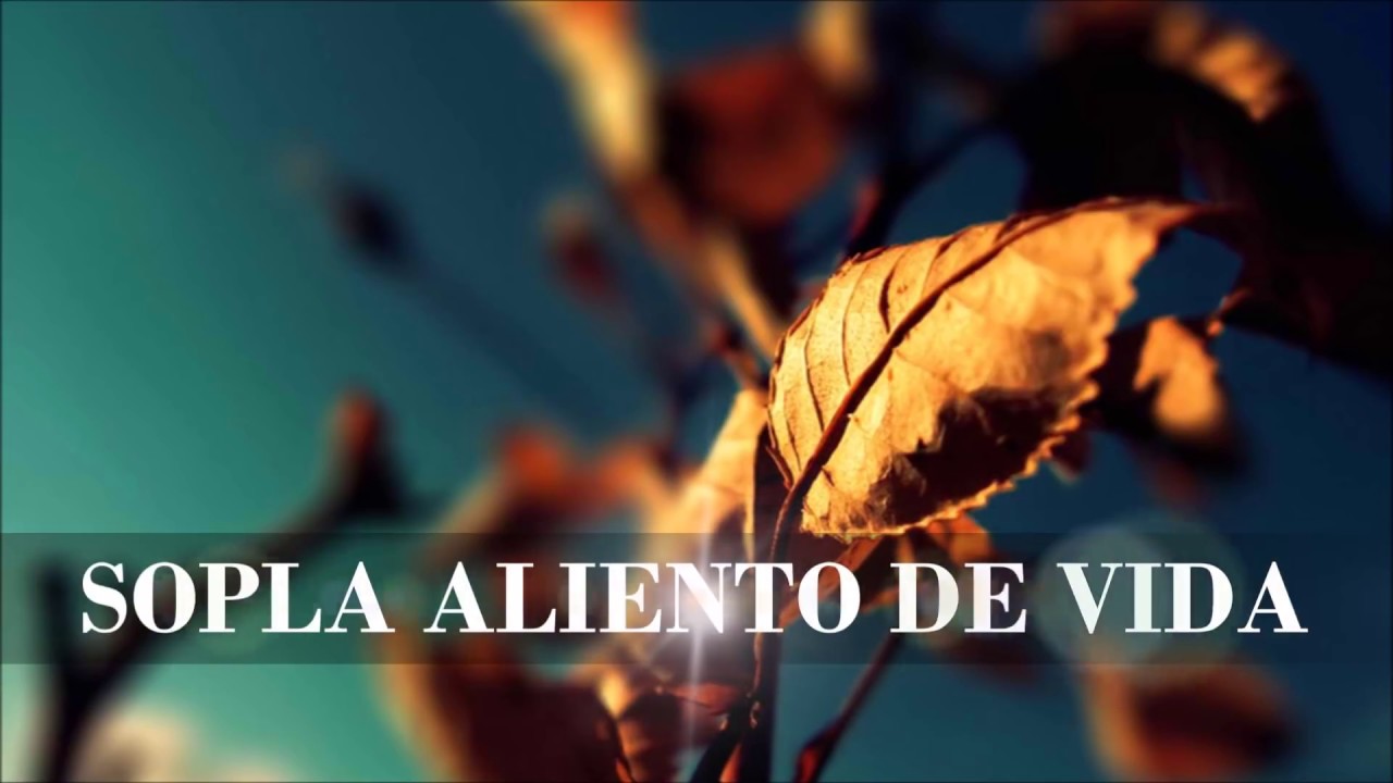 SOPLA ALIENTO DE VIDA נְשָׁמָה