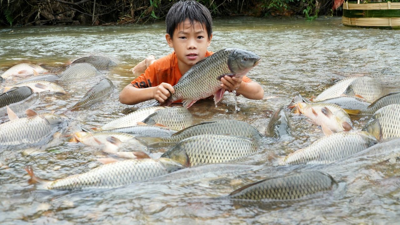 How to catch fish with a primitive bamboo trap: Peaceful life with mother