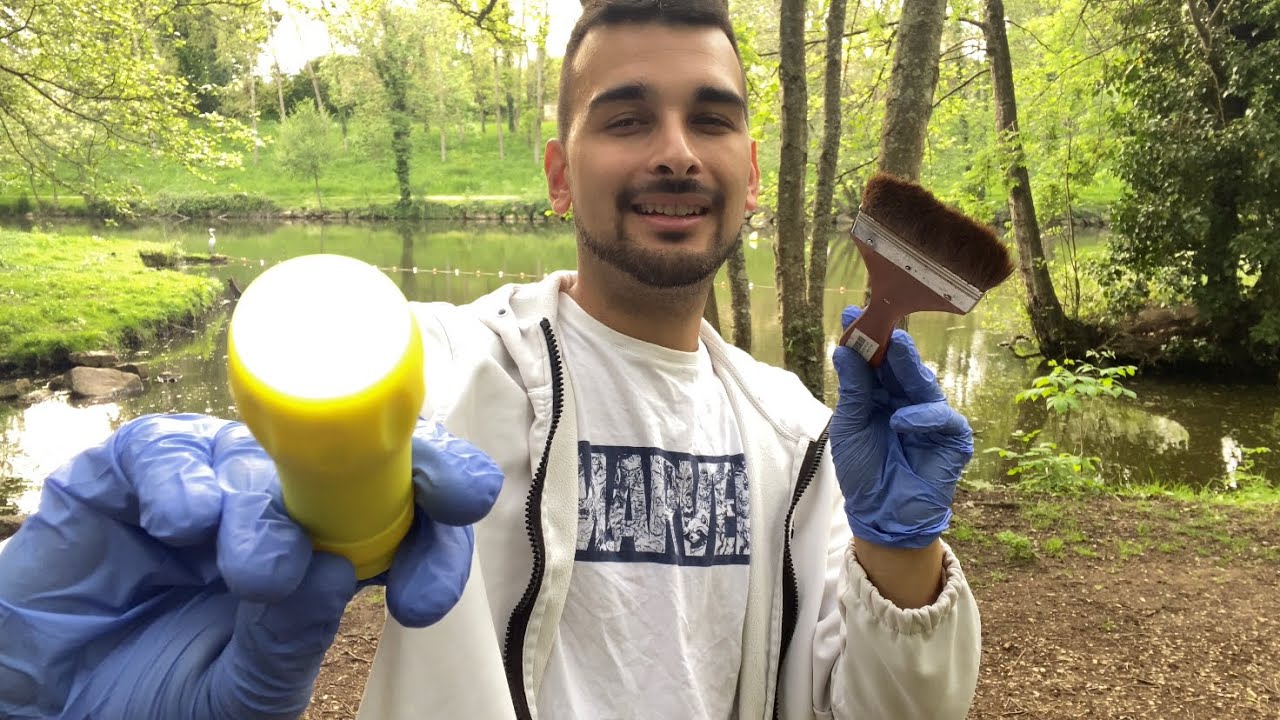 ASMR Médecin Oiseau de la forêt 🌳