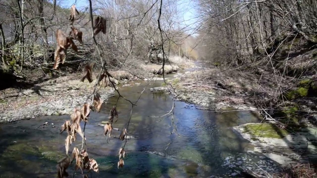 На кратко за Маришница - махала и река (гр. Априлци, кв. Ново село)