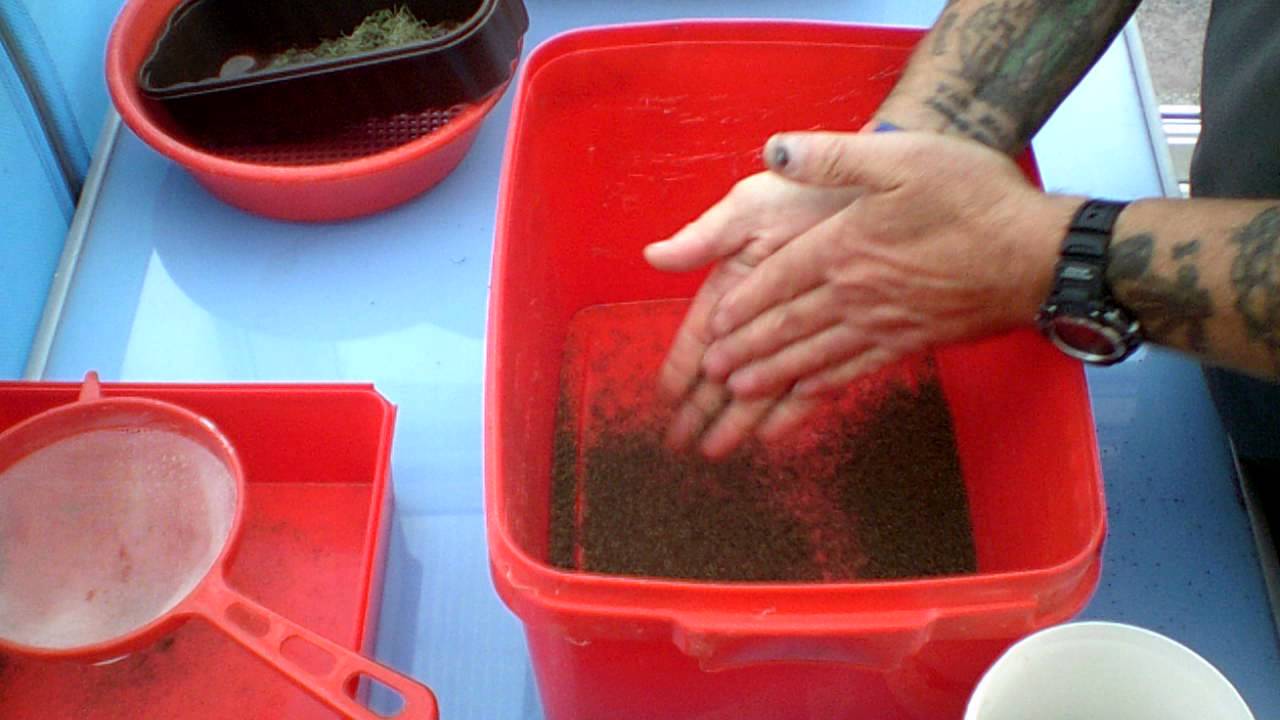 Refining nettle seeds