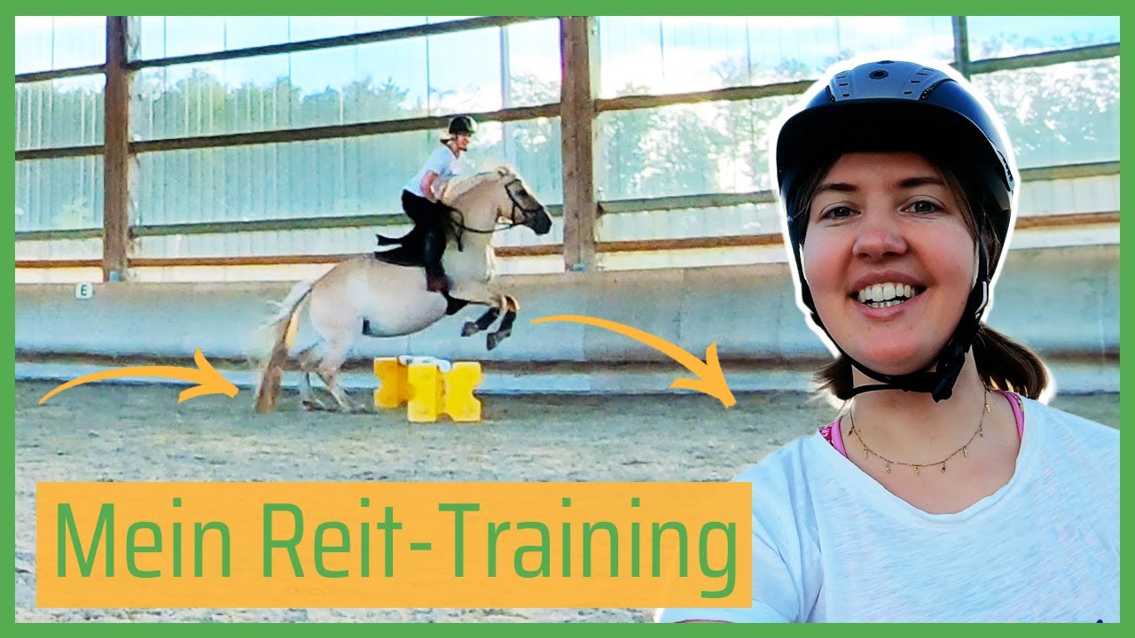 🐴 Reit-Training FMA 😁 // Blondis auf Fjordis