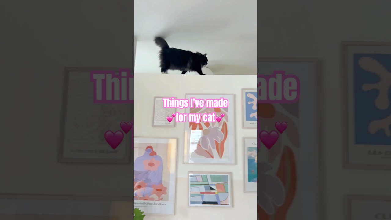 Which DIY is your favorite? 🙈 #diy #cats