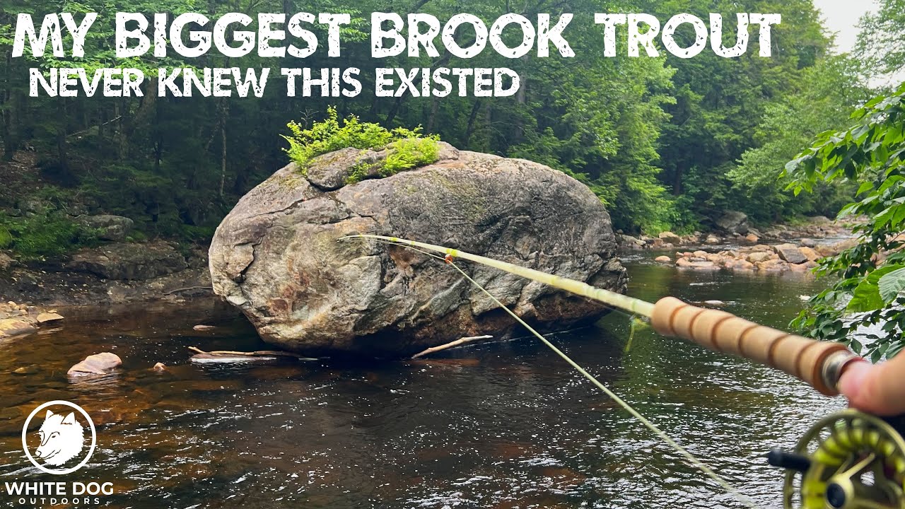 My Home Waters Still Hold Secrets - Biggest Brook Trout of My Life!