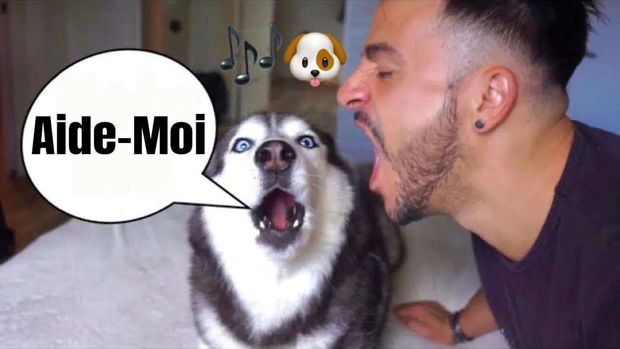 Je jappe sur Meeka pour voir sa réaction ! Elle a pris peur 😂