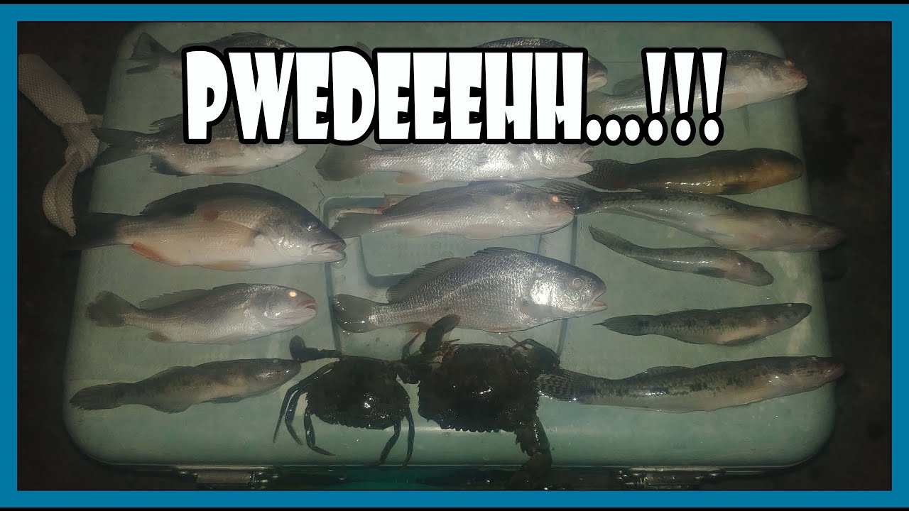 TESTING SA TULAY NG TERNATE..!!! 06-17-2021