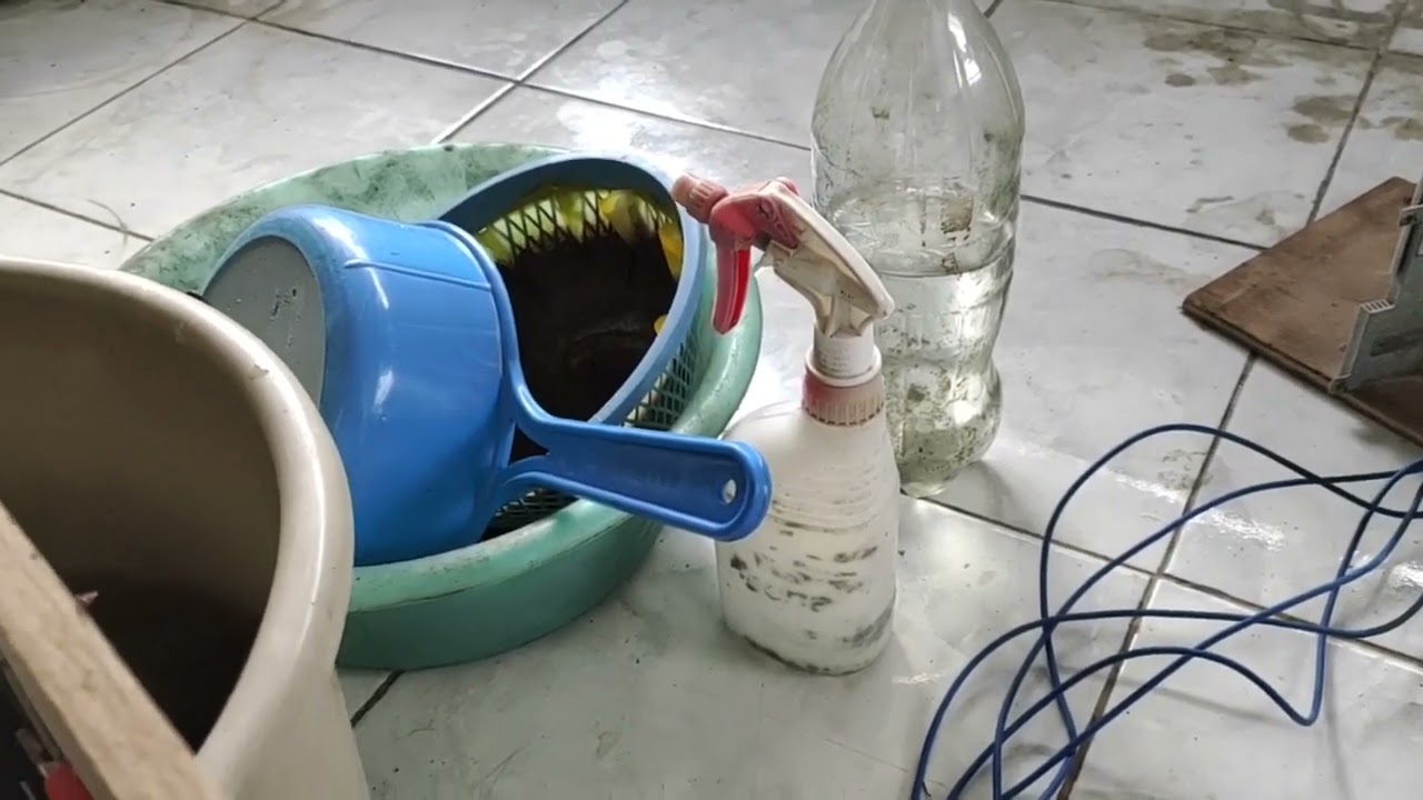 test kandungan batuan dengan EW