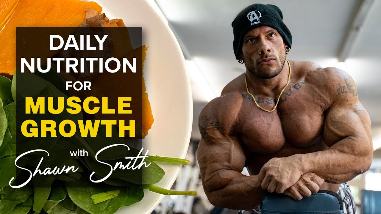 Animal Eats | Daily Nutrition for Muscle Growth with Shawn Smith