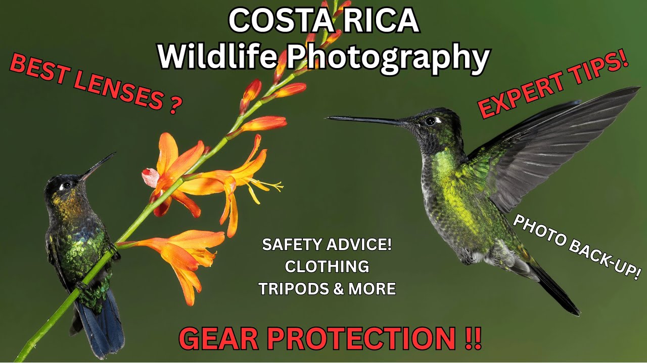 DON'T TRAVEL WITHOUT THIS! Wildlife Photography Gear for Costa Rica! Expert TIPS
