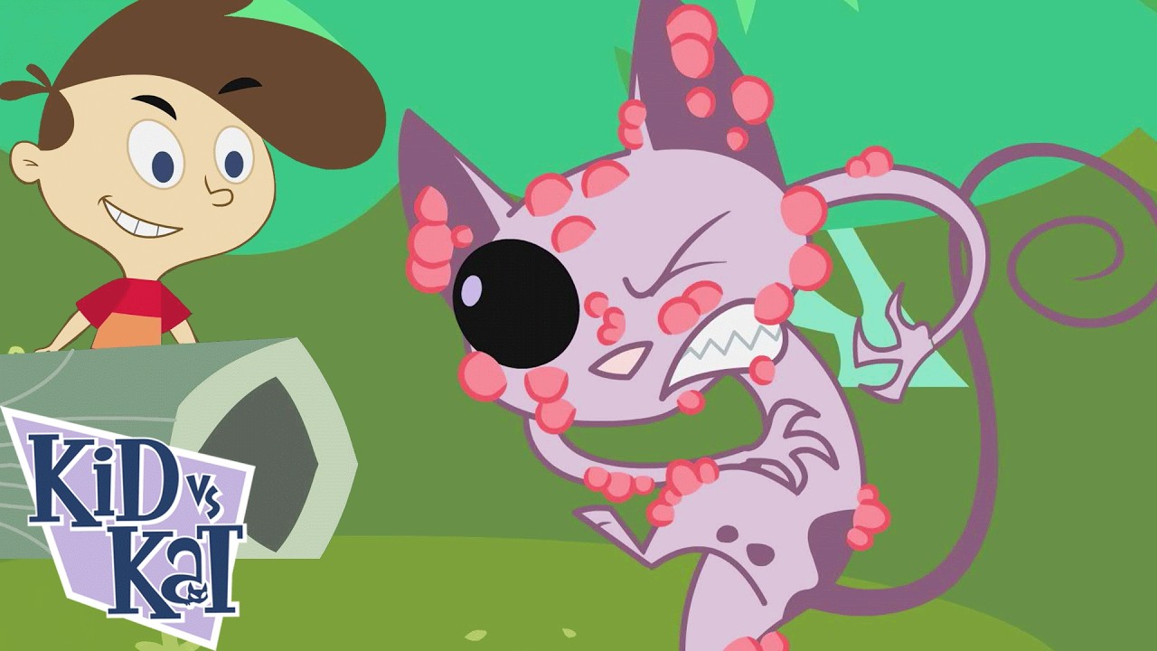 Campistas Felices | Niño Vs. Gato - WildBrain | Episodios completos para niños