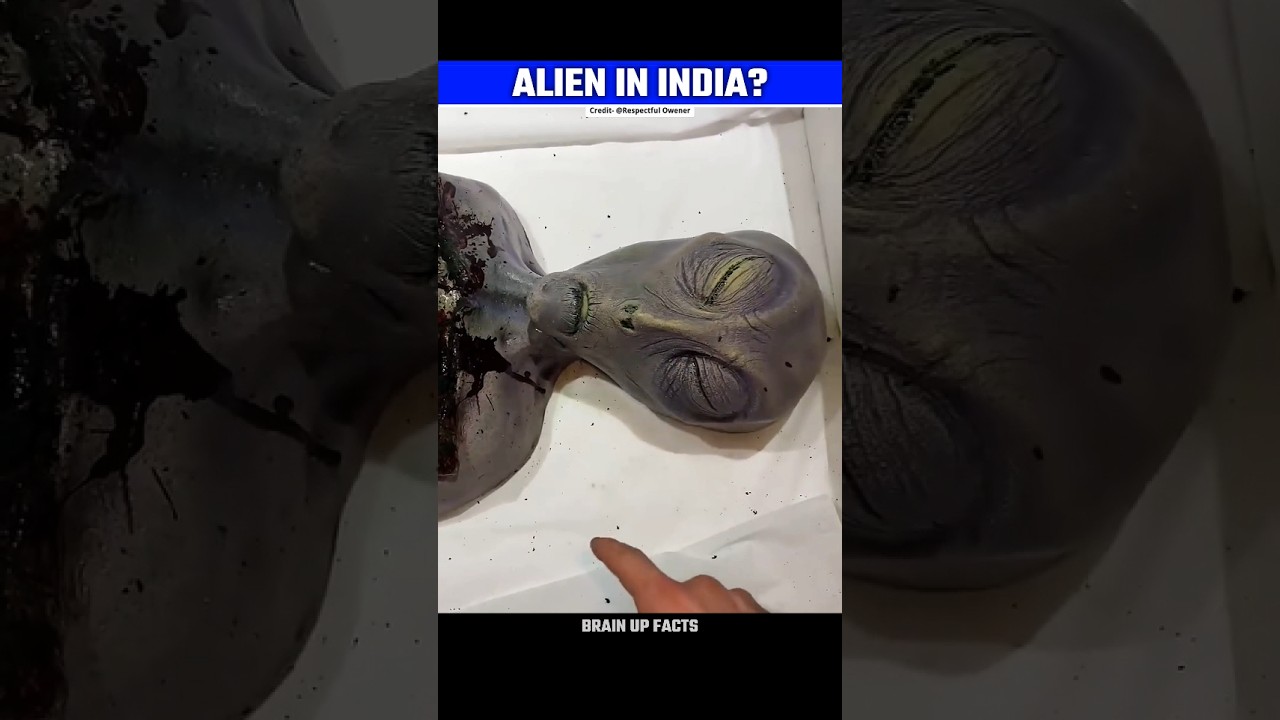 Alien In India👽 | Real Truth?😱