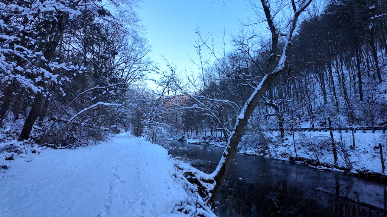 Morning in the Snow | Peaceful Hike Along Creekside