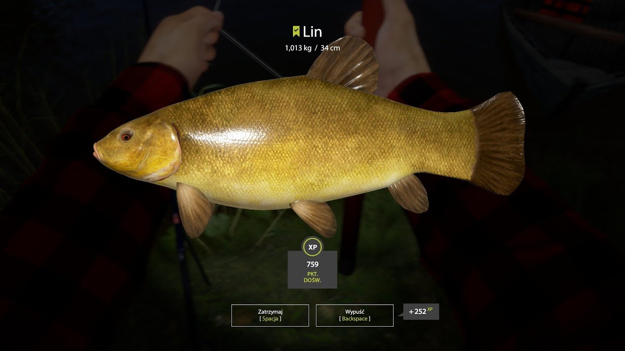 Russian Fishing 4 płocie, karasie, liny na spławik | Jezioro komarówka.