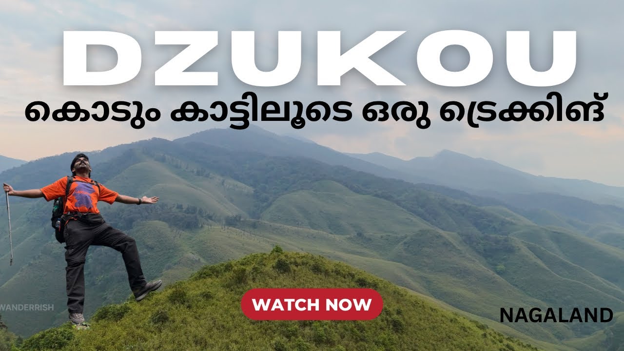 സ്വർഗ്ഗത്തിന്റെ പച്ചപ്പു വിരിച്ച പുല്മേടുകൾ 🌿 | ZUKOU VALLEY TREKKING  || NAGALAND  | MALAYALAM VLOG