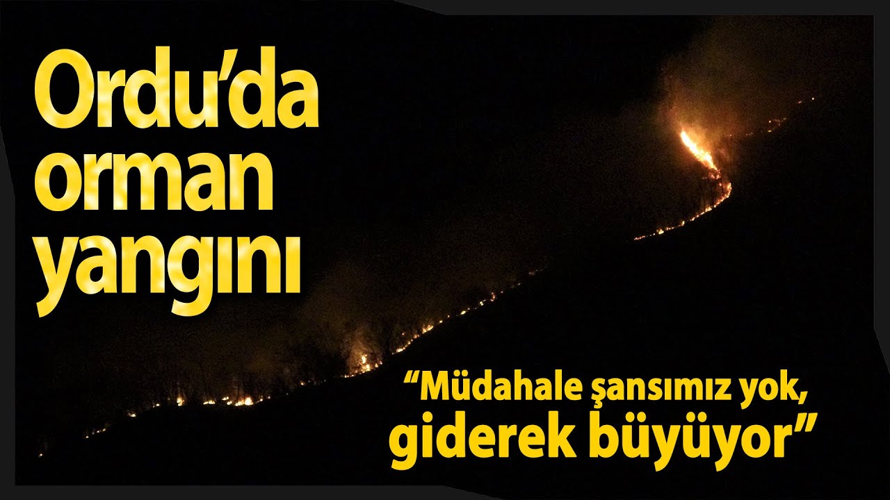 Ordu’daki Orman Yangınına Müdahale Sürüyor