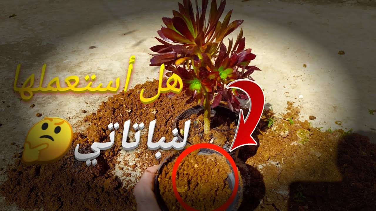 هل التربة الطينية جيدة للزراعة