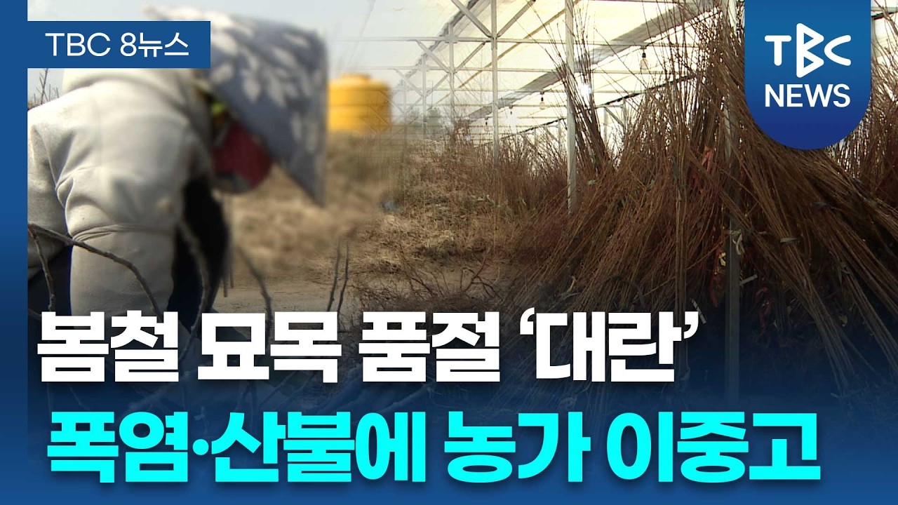 “돈 있어도 못 사요”…산불·기후위기에 묘목 가격 ‘껑충’ㅣTBC뉴스