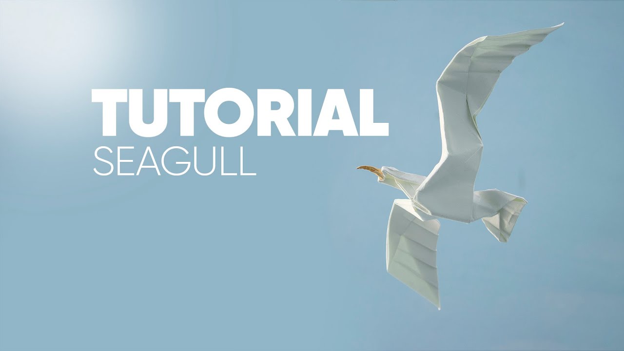 Origami Seagull - Hướng dẫn gấp Chim Hải Âu (Dong—4)